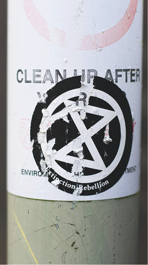 Eco-friendly cleaning supplies